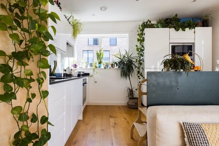 05 kitchen p.jpg