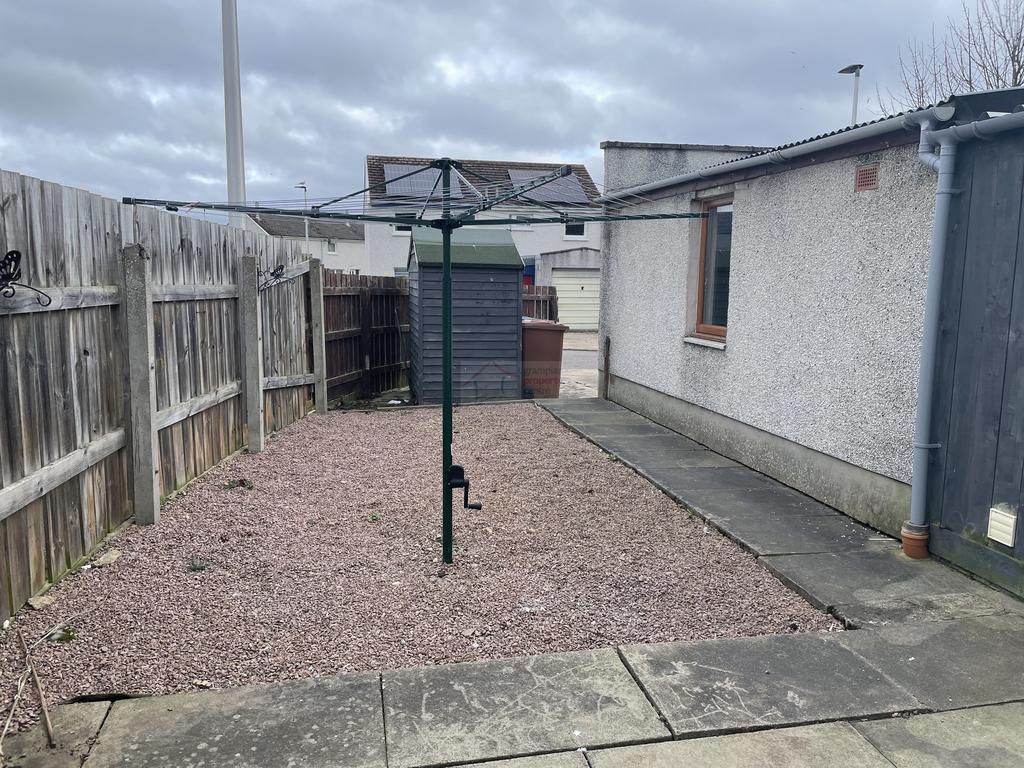 Back Garden.JPG