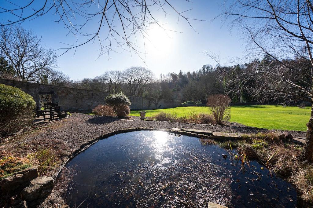 Pond