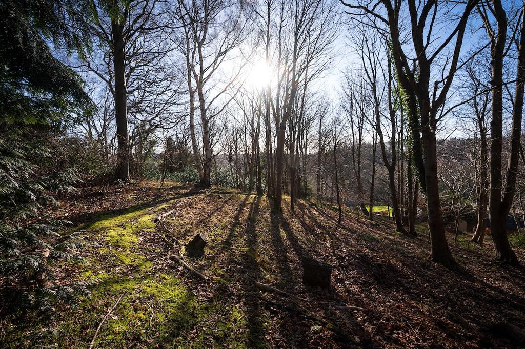 Woodland