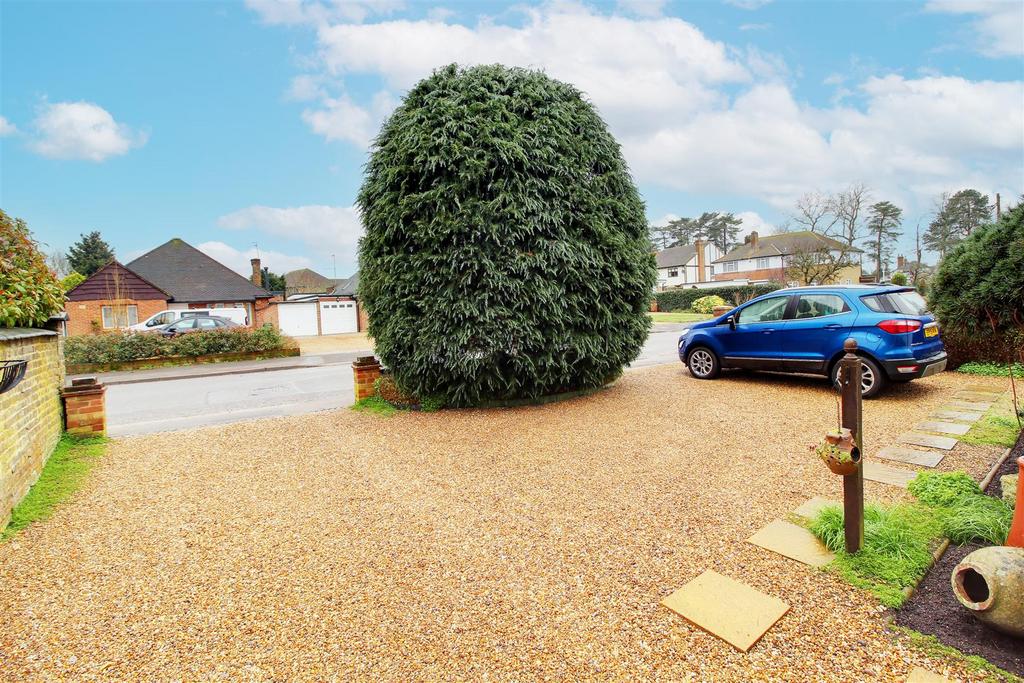 IMG 3112-IMG 3114.jpg