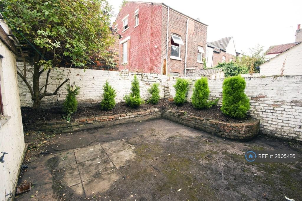 Back Garden With Shed