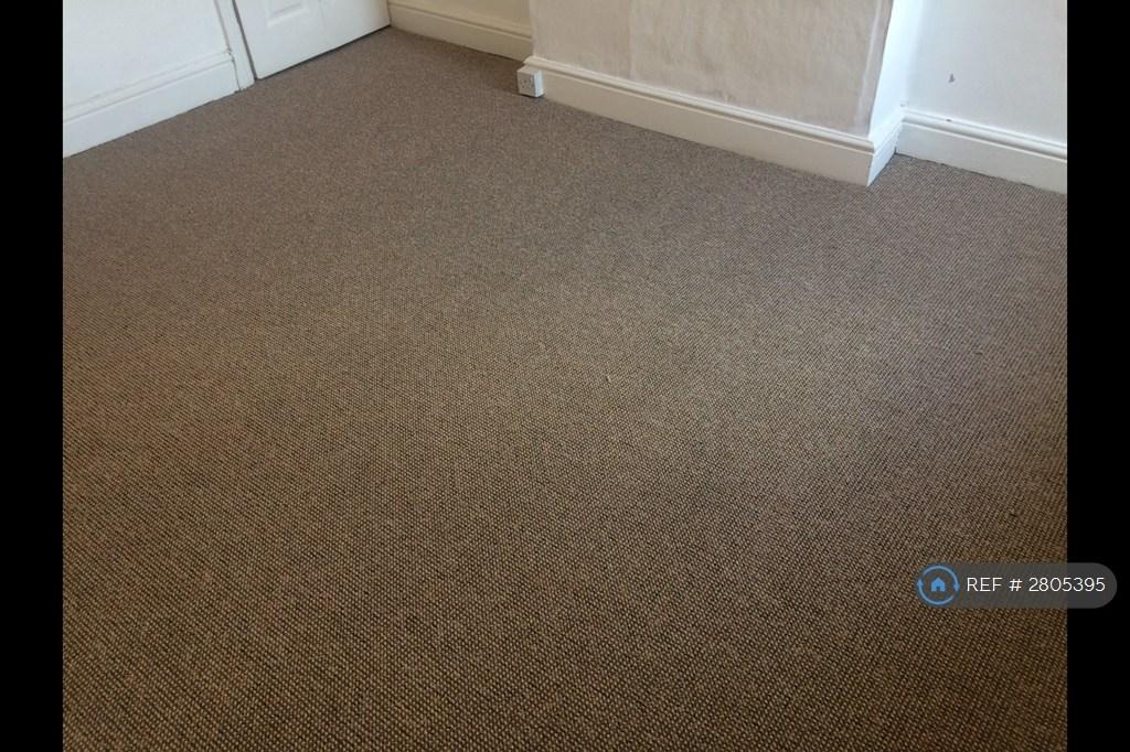 New Carpet