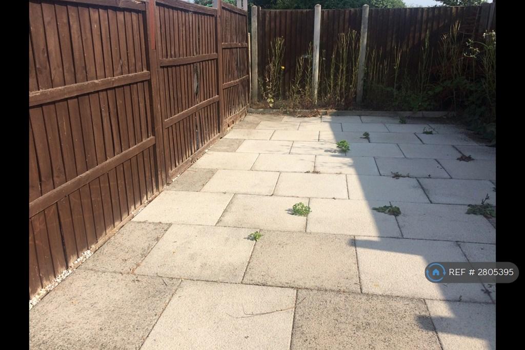 Low Maintenance Garden