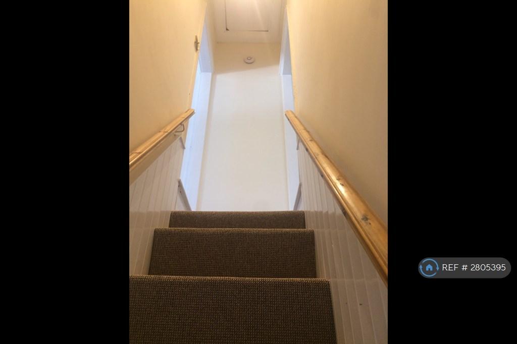 Stairs With New Carpet