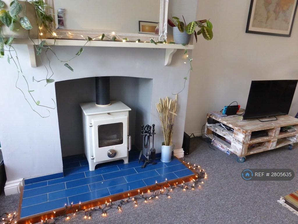 Wood Burning Stove