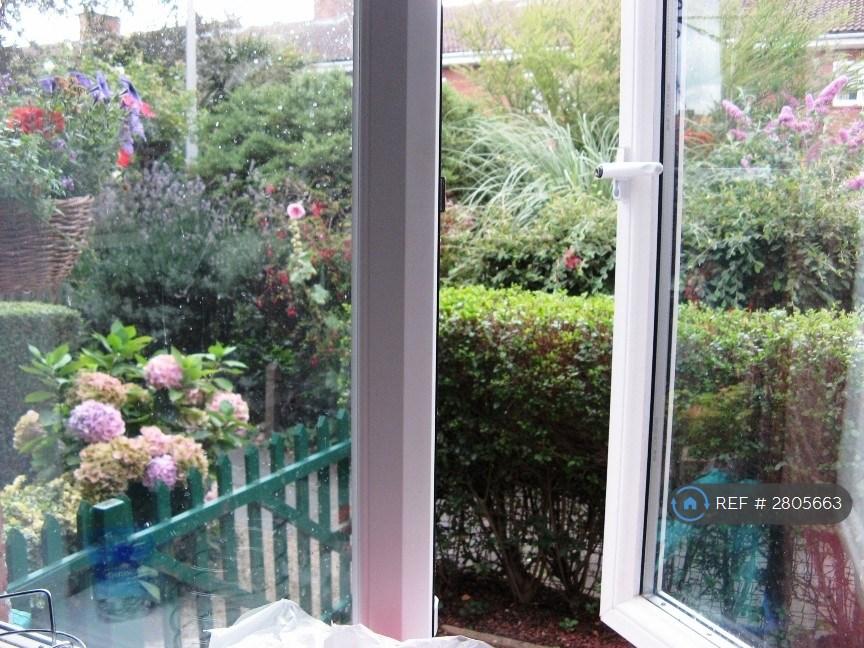 Front Yard Area From Kitchen