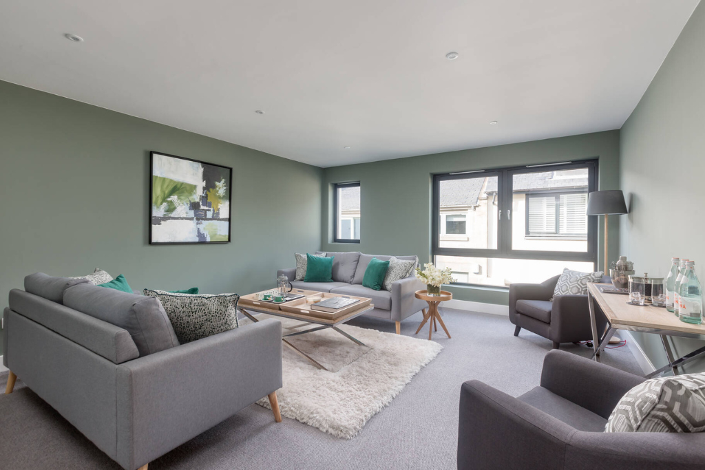 Living Room - 20 Dublin Street Lane South