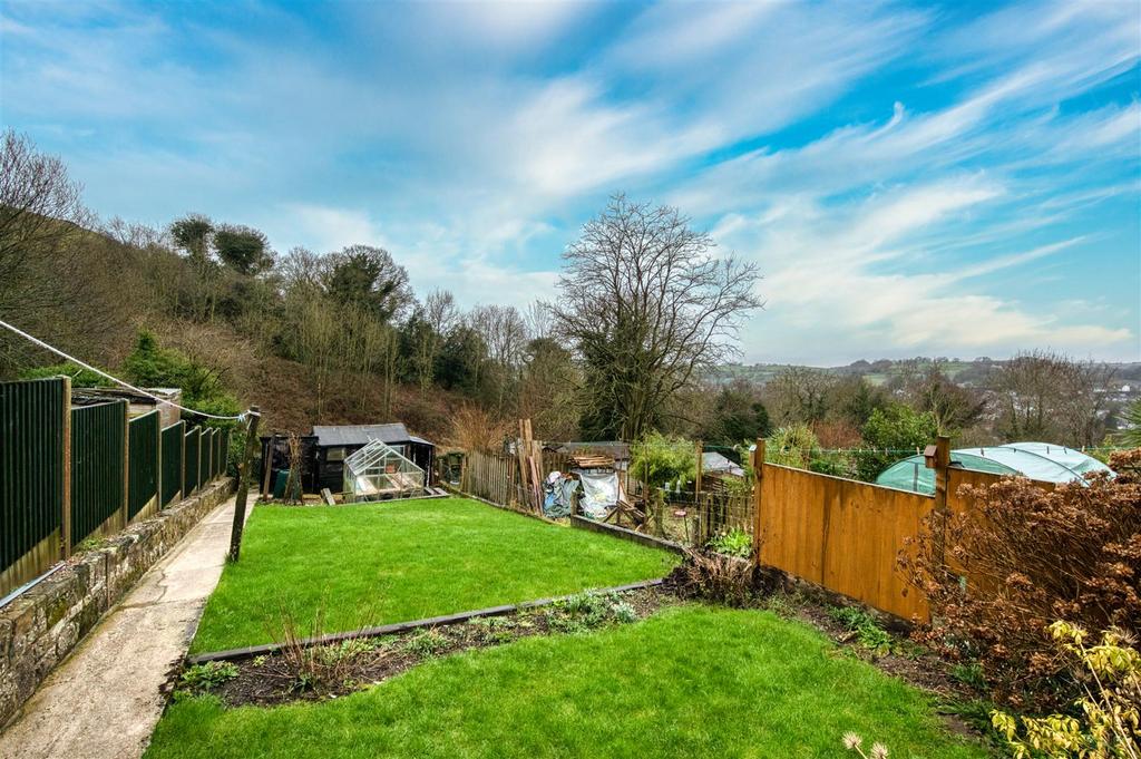 Garden - lawn.jpg