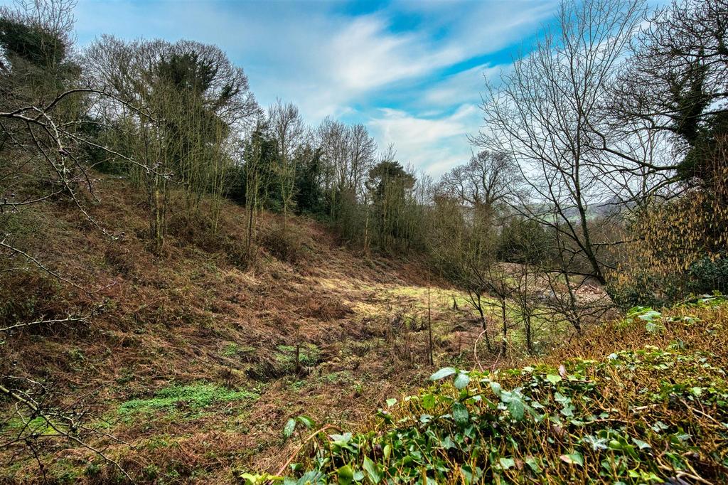 Woodland view from bottom of garden.jpg