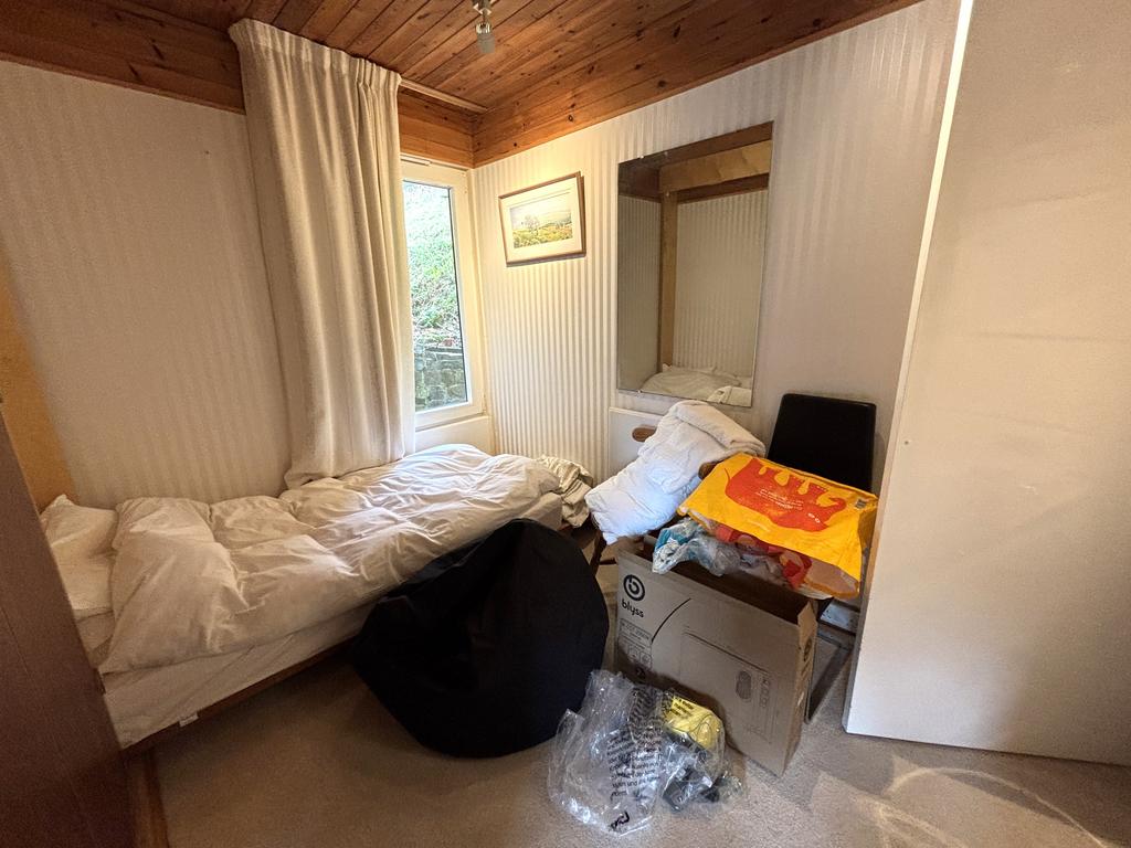 IMG 3169 T202602191730.jpeg