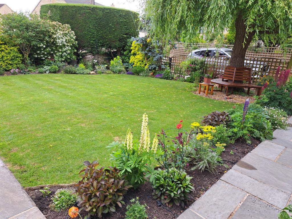 Garden Summer 2025
