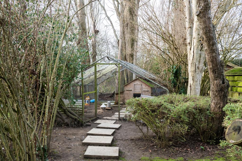 Garden