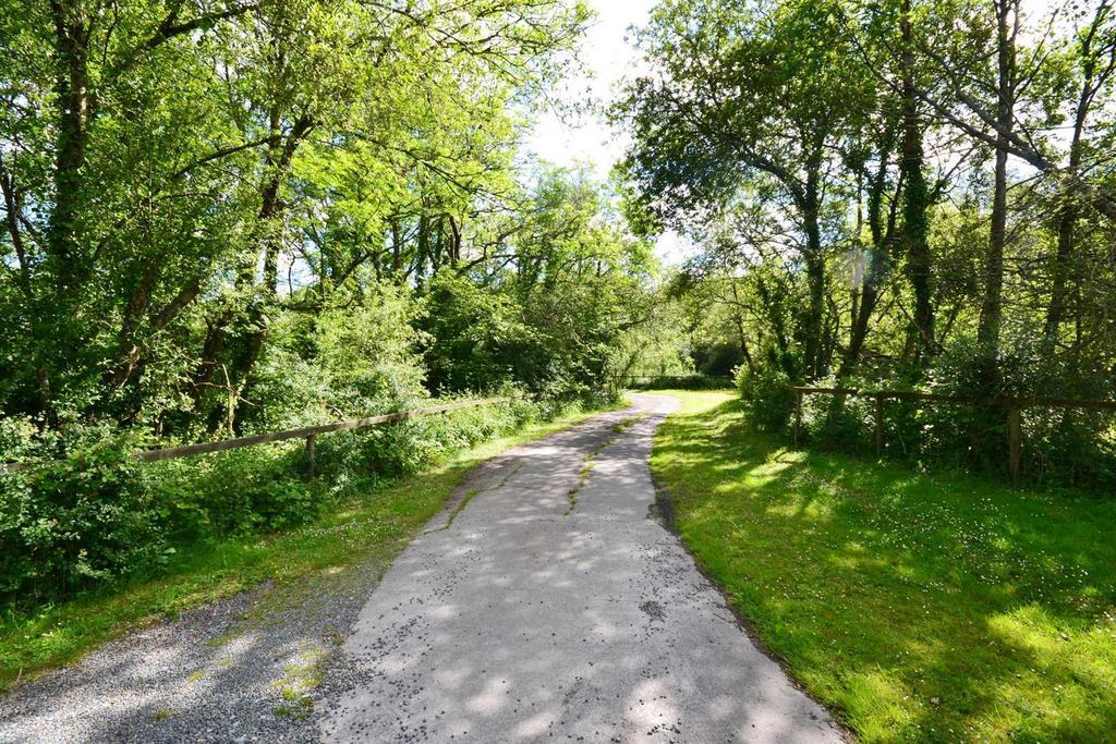 Driveway.jpg