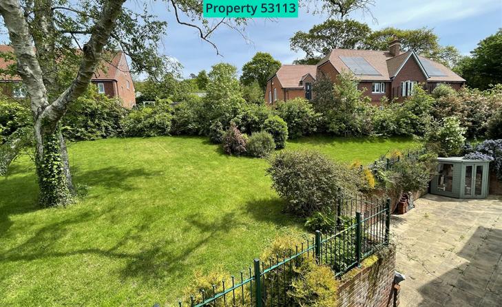 Back garden