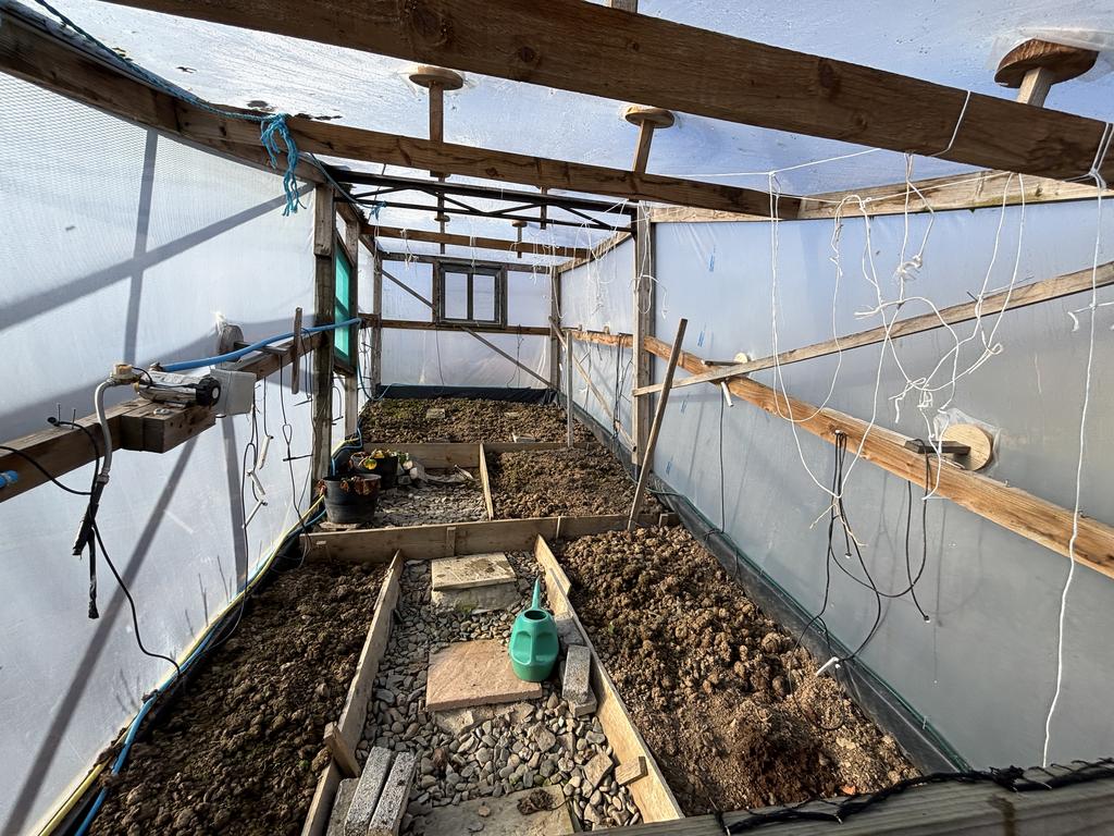 Polytunnel 1