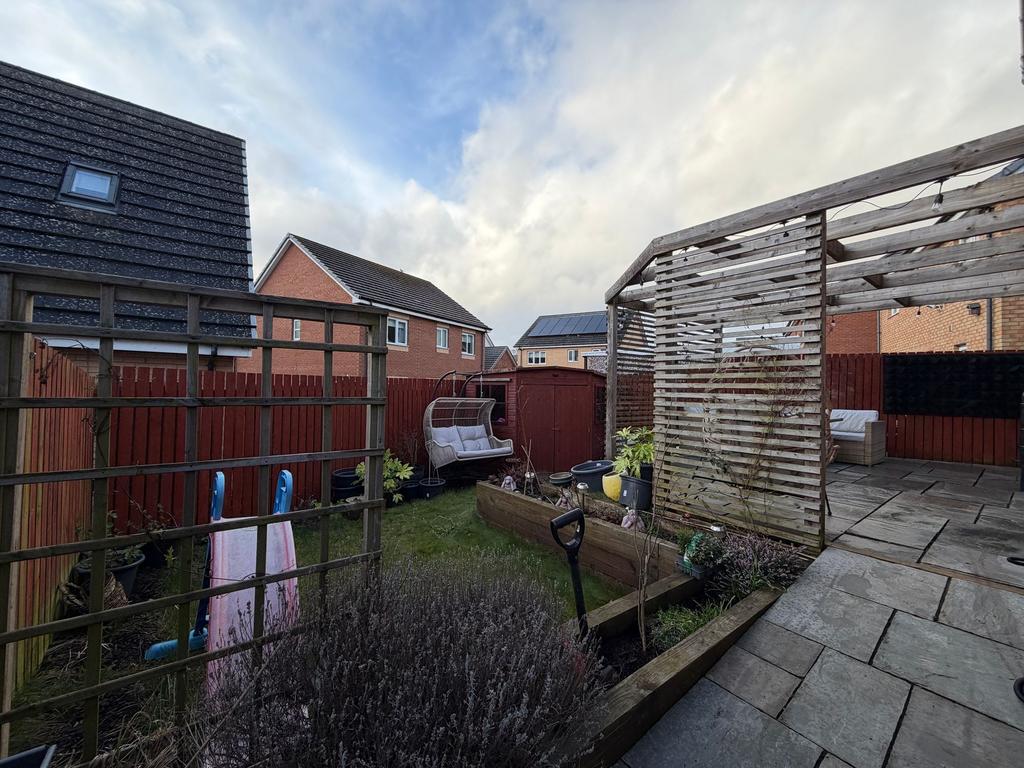 Back Garden