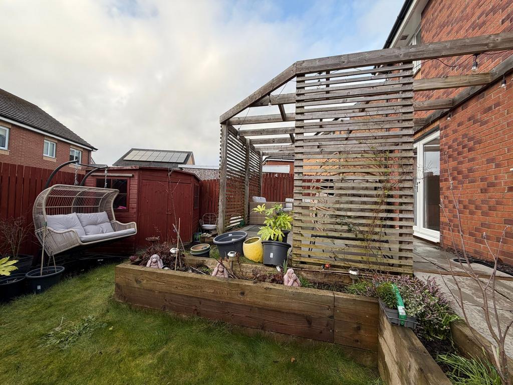 Back Garden