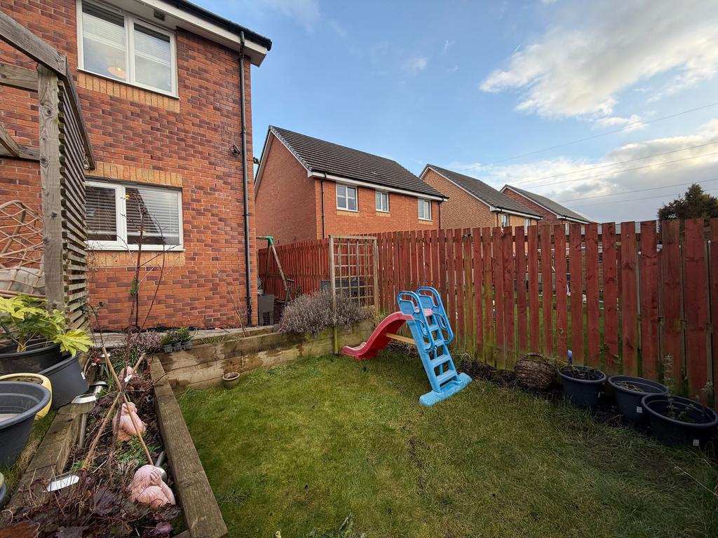 Back Garden