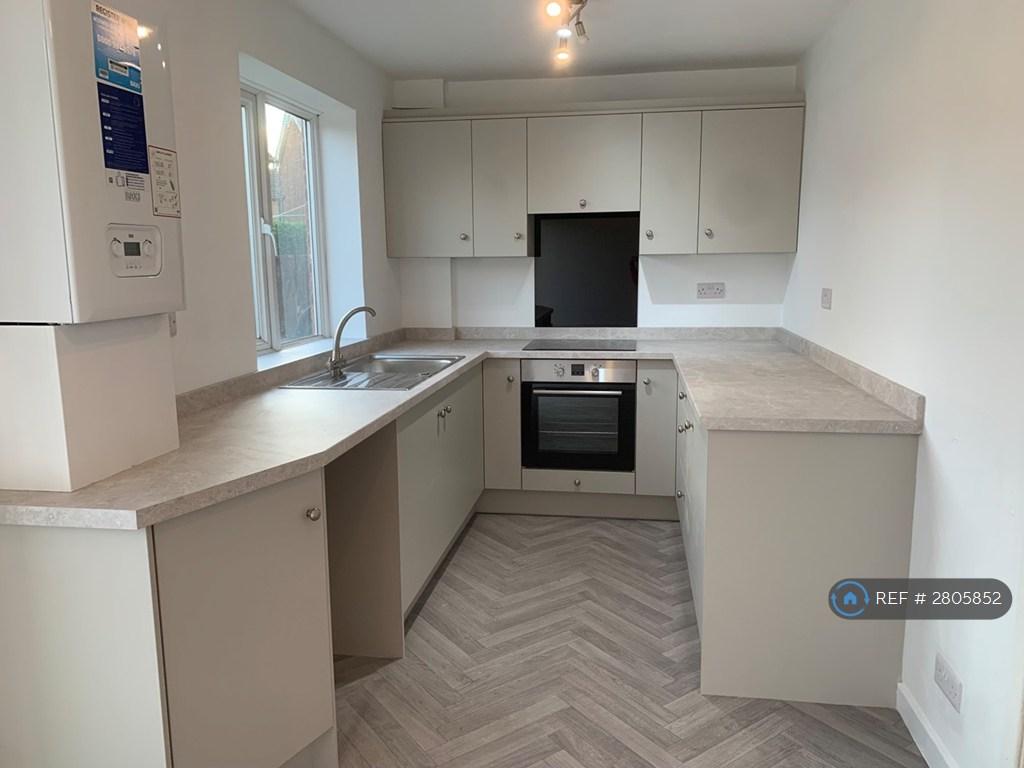 Modern Kitchen