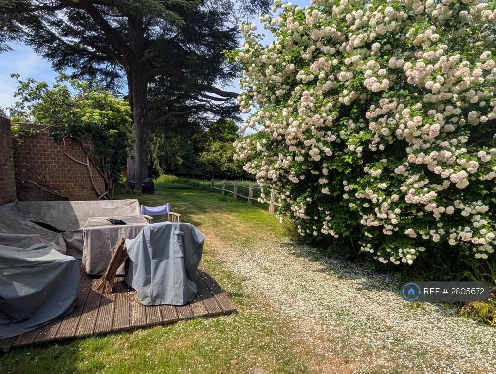 Rear Garden Overlooking Listed Historic Parkland