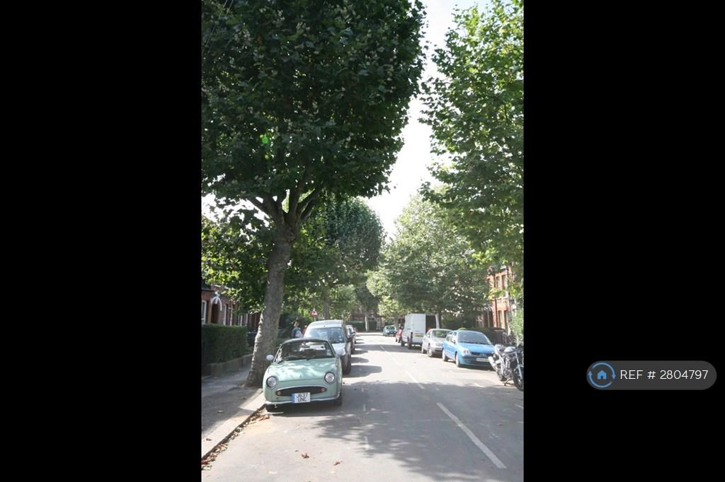 Leafy Street