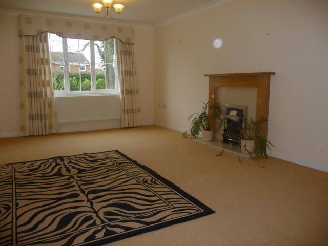 16946 IMG 01.jpg