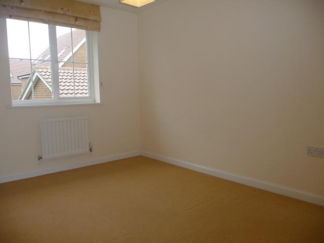 16946 IMG 08.jpg