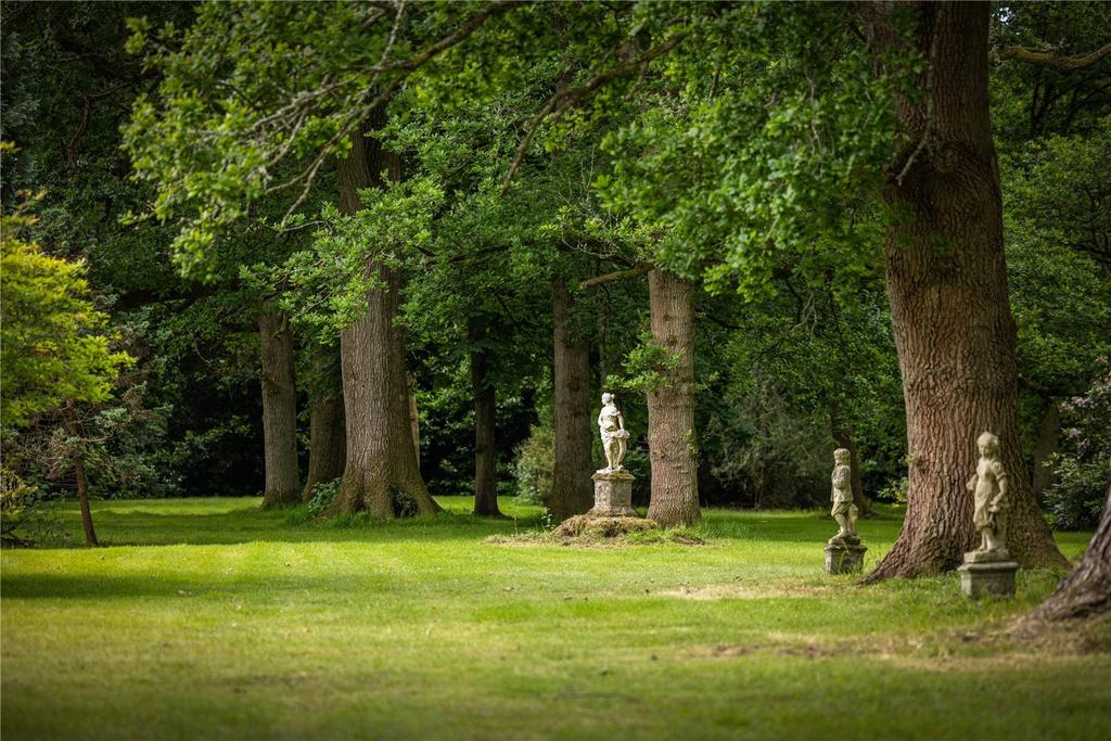 Woodland