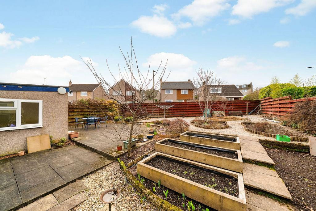 Back Garden