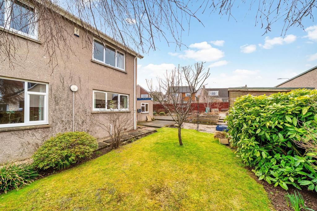 Back Garden