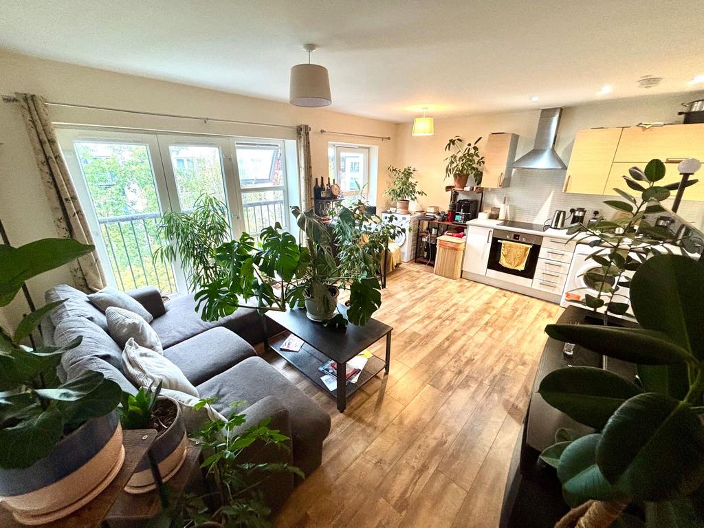Open Plan Living Room & Kitchen