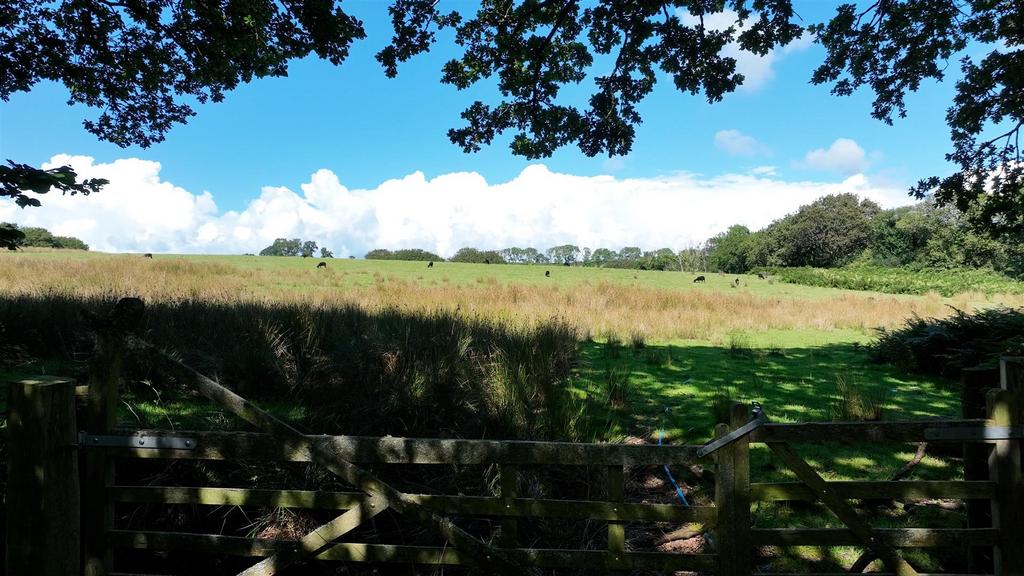 Grazing and wooded area.jpg