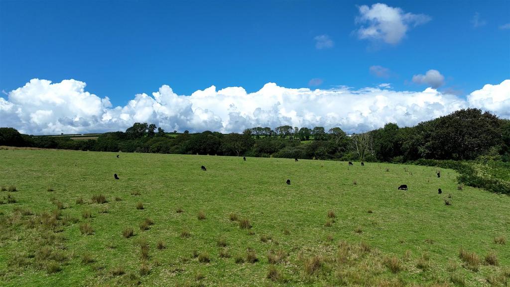 Grazing+wood.jpg