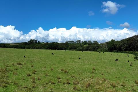 undefined, Middle Hills, Gower SA2