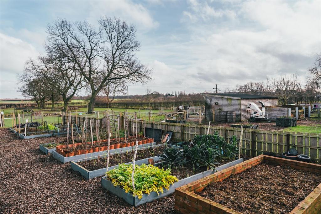 Vegetable Garden