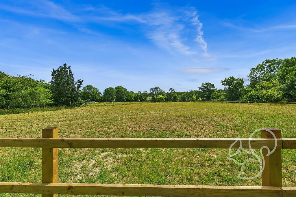 Rear Field Views