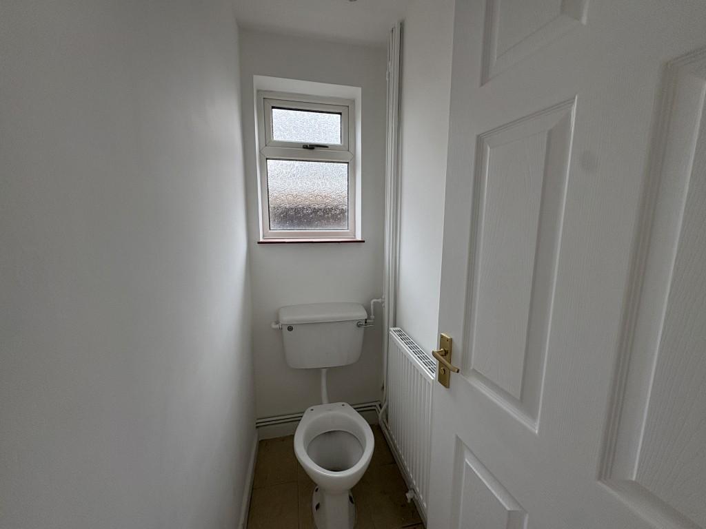 6 Medium T202602241549.jpg