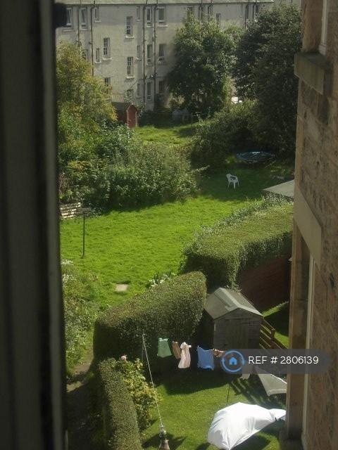 Back Garden