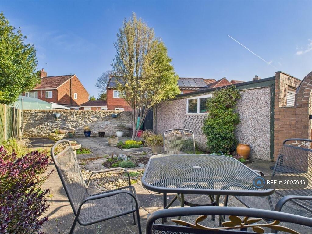 Back Garden