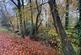 Approximately. 1.95 acres of Woodland Miskin, Pontyclun, CF72 8PE