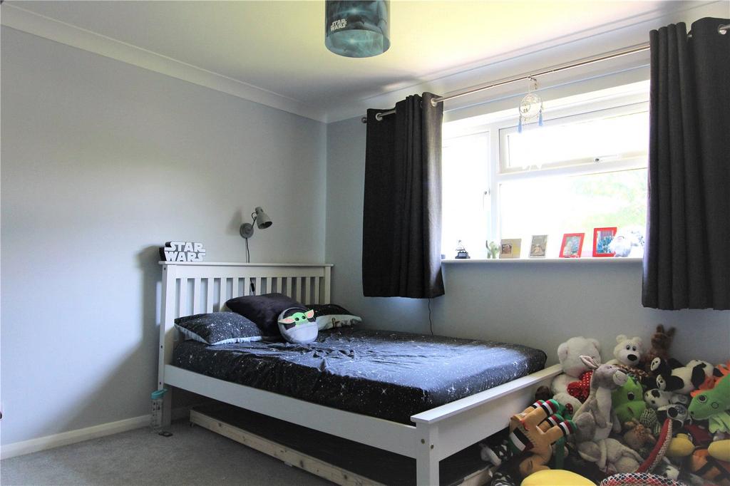 Picture 15