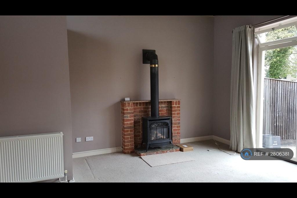 Gas Fired Coal Effect Wood Burner