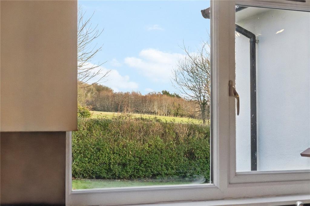 View From Window