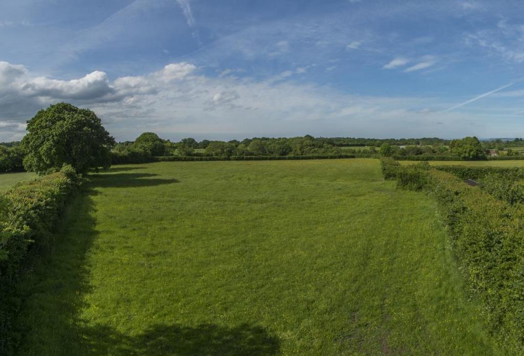 Field Panorama2.JPG