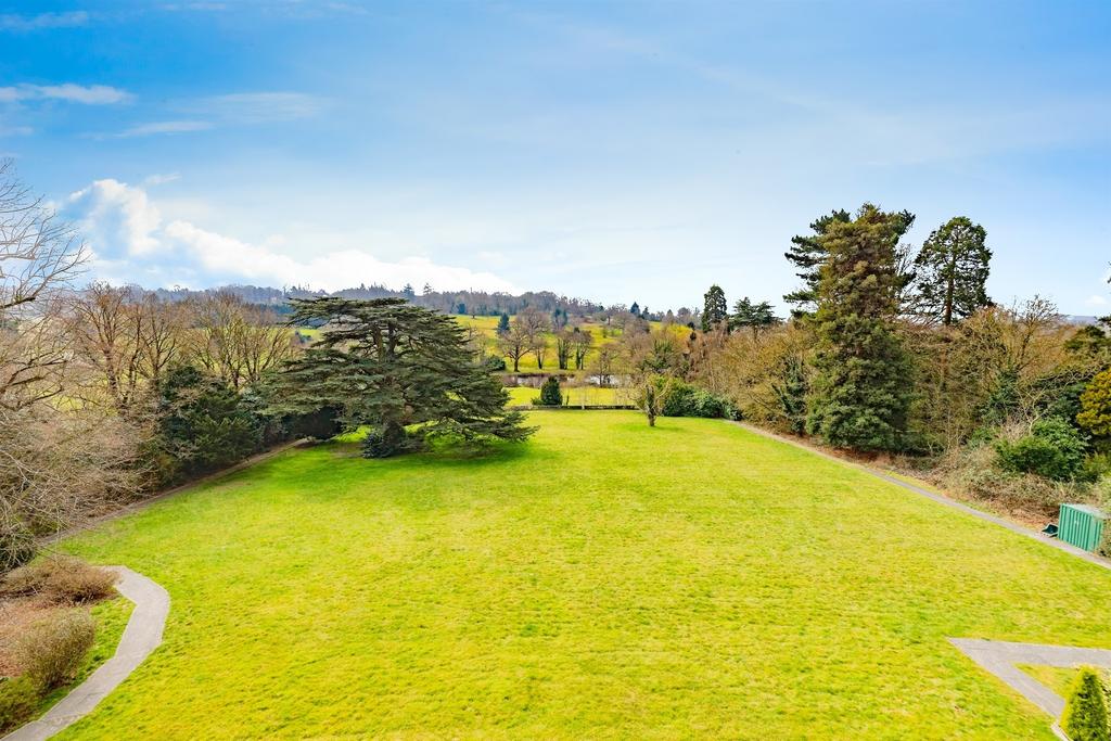 Garden view, garden