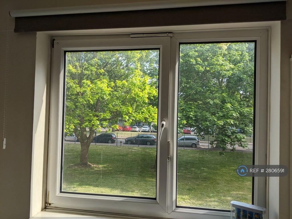 Bedroom 1 Window