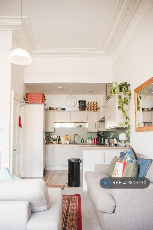 Living Room / Kitchen