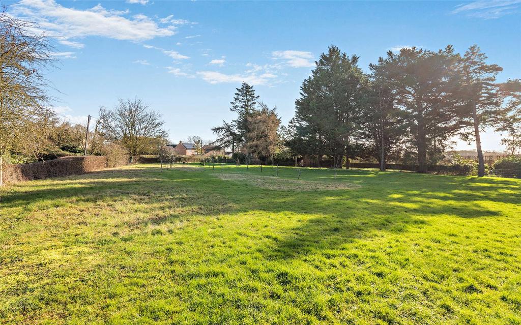 Grounds