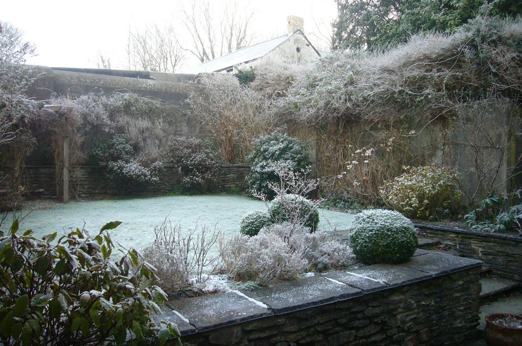 Rear Garden (Winter)